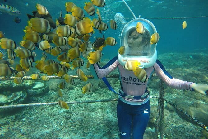 30 Minutes Ocean Walking in Nusa Dua, Bali - Key Points