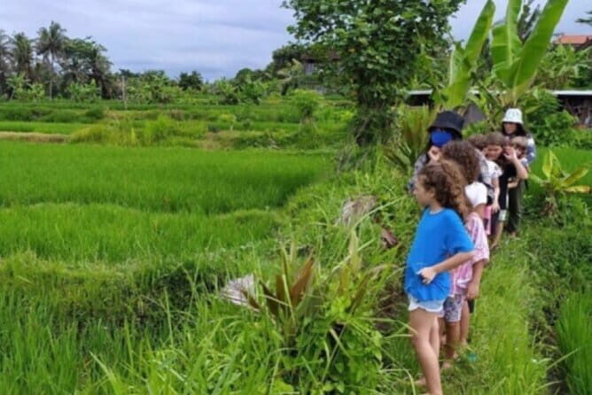30 Minutes Ocean Walking in Nusa Dua, Bali - The Sum Up