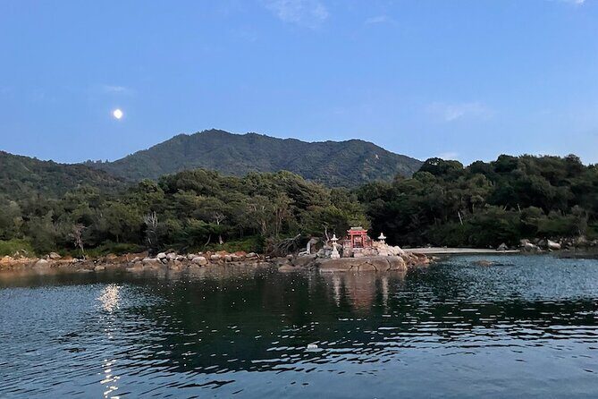 30 Minutes One Way Cruise from Miyahama Onsen to Miyajima - What Travelers Have Said (Based on Reviews)