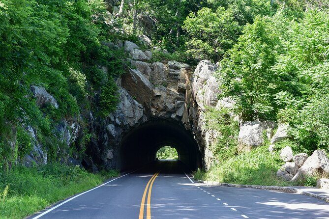 30+ National Parks Self-Guided Driving Tours Bundle - In-Depth Look at the Itinerary
