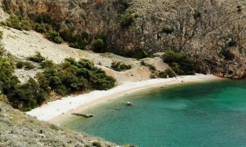 3,5h Wild Bays: Swim & Snorkel with Capt. Bobo (Public) - Practical Details and Tips for Your Trip