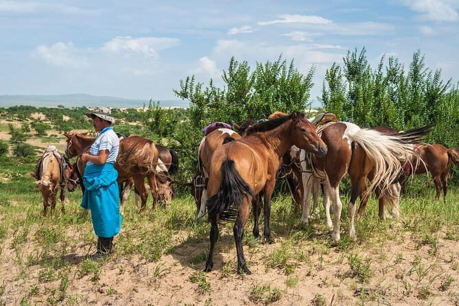 3d, 2n Tour to Terelj National Park, Elsen Tasarkhai Sand Dunes - The Practical Side: Transportation, Meals, and Group Size