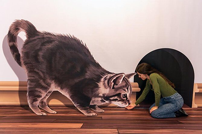 3D Fun Art Museum Funchal - In-Depth Look at the 3D Fun Art Museum in Funchal