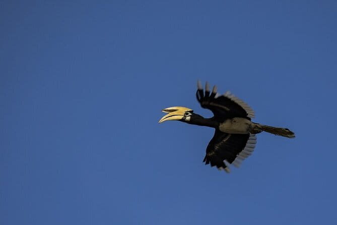3D2N Kinabatangan River Cruise - Exploring the Itinerary in Detail