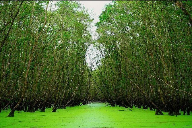3D2N Mekong - Floating Market - Chau Doc - Boat To Phnom Penh - Frequently Asked Questions