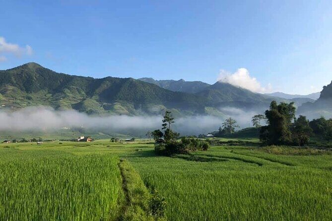 3D2N- Rice Terraces Treks & Easy rider from Sa Pa - Who Is This Tour Perfect For?