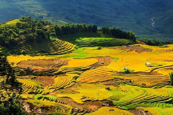 3D2N | Sapa - Bac Ha trekking tour to mountainous villages - A Deep Dive into the 3-Day Trekking Experience