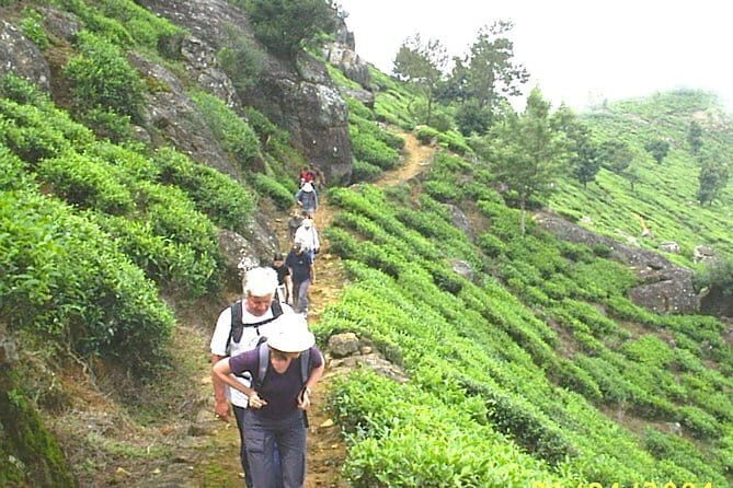 3,Days Trekking Through the Misty Mountain & Horton Plaine from Ella,Haputale - Practical Details and What to Expect