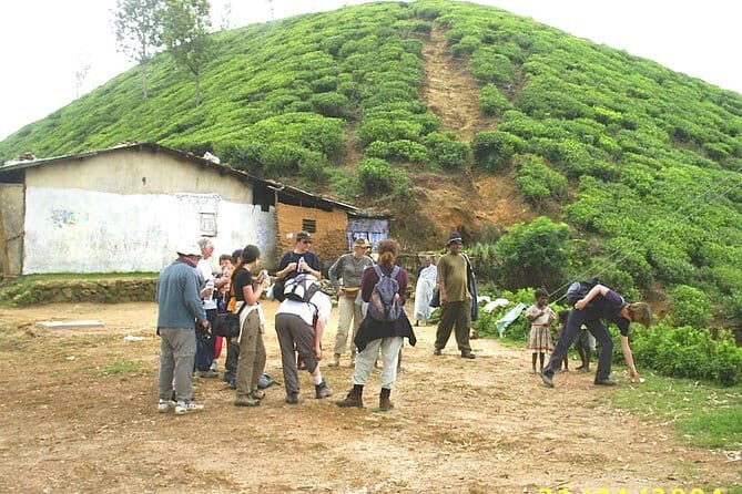 3,Days Trekking Through the Misty Mountain & Horton Plaine from Ella,Haputale - The Sum Up: Is This Tour Right for You?