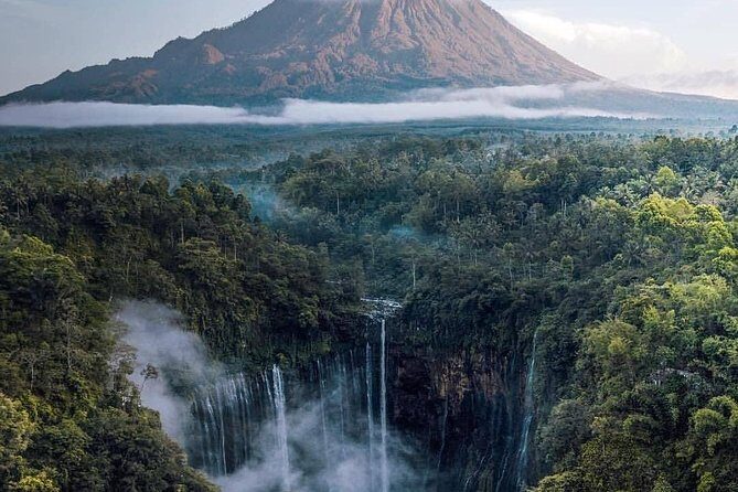 3Days - Tumpaksewu Bromo Ijen Adventure via Malang - Who Is This Tour Best For?