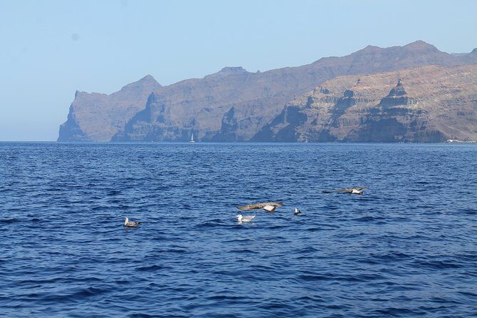 3h Boat Trip + Snorkeling in Puerto de Mogan - The Sum Up