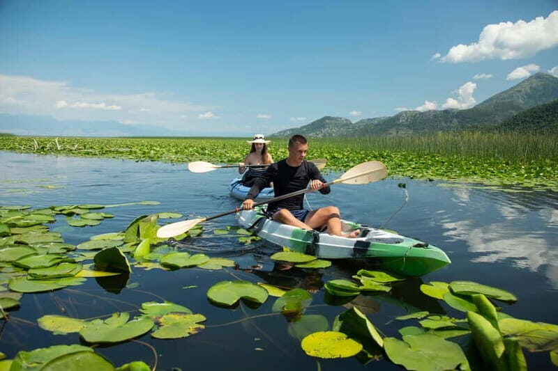 3h Guided Kayaking Adventure on Skadar Lake to hidden spots! - Key Points