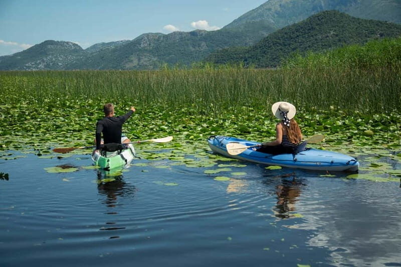 3h Guided Kayaking Adventure on Skadar Lake to hidden spots! - Practical Details and Value