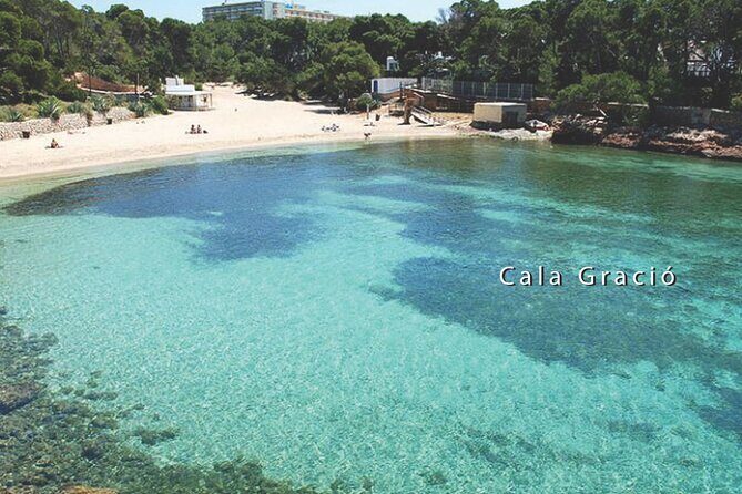 3h Private Cruise + Drinks, Snorkel & Paddle - Key Points