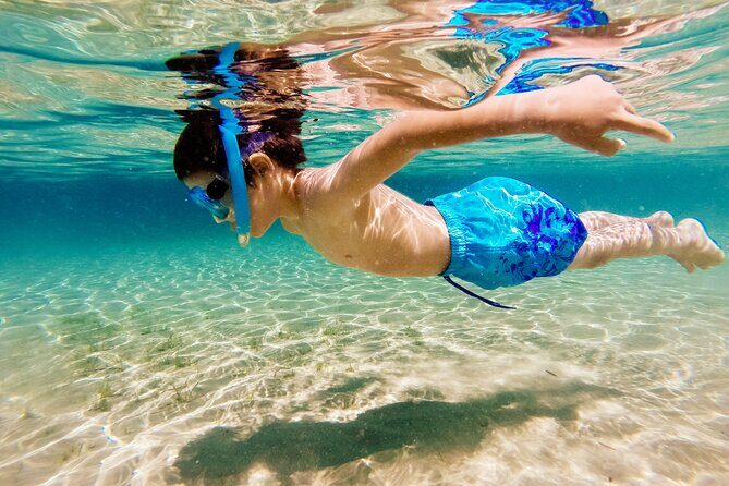 3h Private Cruise + Drinks, Snorkel & Paddle - Authentic Traveler Insights and Tips