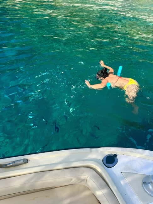 3h Scilla in Barca-Costa Viola tour: Caves-Cala Janculla - Authentic Feedback from Travelers