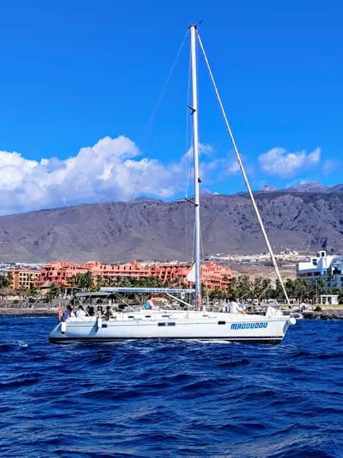 3h Whale Watching Private tour Beneteau Oceanis 440 - Key Points