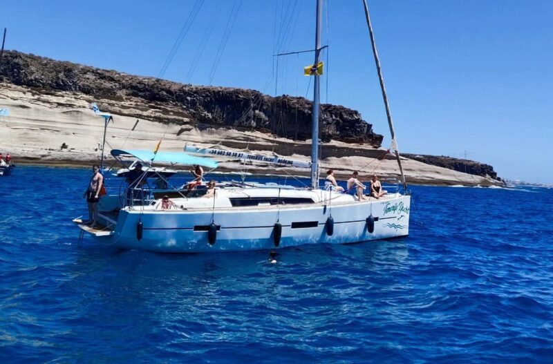 3h Whale Watching Private Tour Costa Adeje Lina7 Mizendoha - Practical Aspects & Considerations