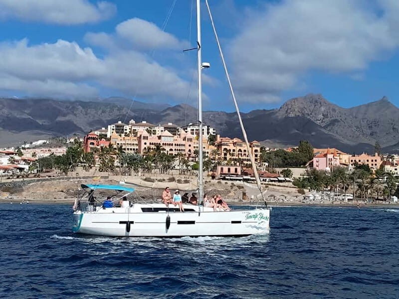 3h Whale Watching Private Tour Costa Adeje Lina7 Mizendoha - The Sum Up