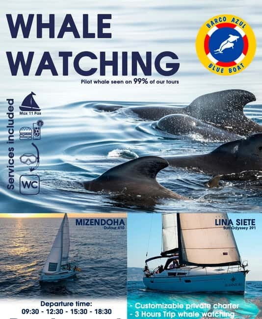 3h Whale Watching Private Tour Costa Adeje Lina7 Mizendoha - FAQs