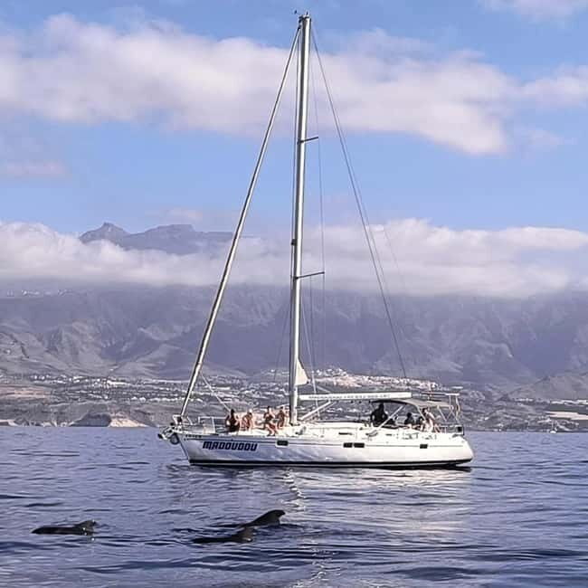 3h Whale Watching Share Tour Beneteau Oceanis 440 - An In-Depth Review of the 3h Whale Watching on the Beneteau Oceanis 440