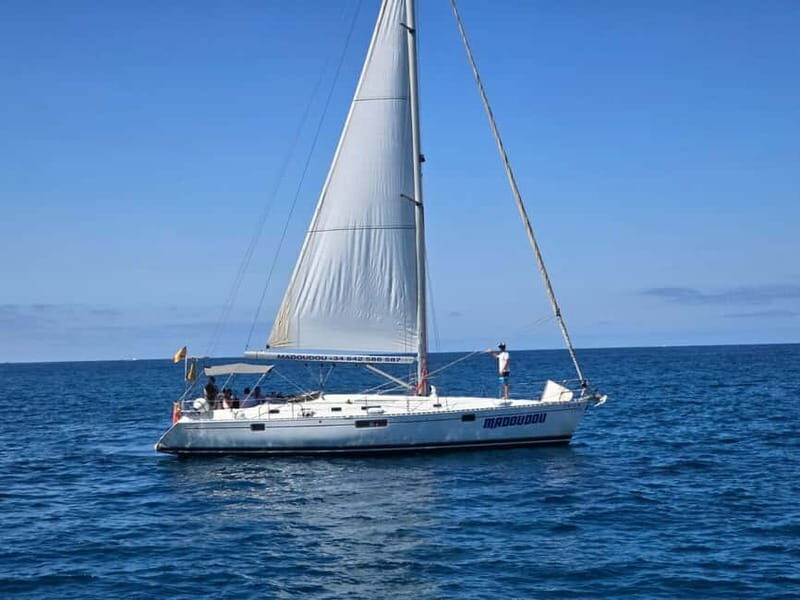 3h Whale Watching Share Tour Beneteau Oceanis 440 - Final Thoughts