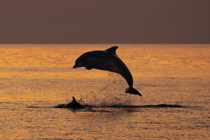 3hours all inclusive Sunset&Dolphin Tour from Medulin on Sandra - A Scenic Evening on the Water: The Overview