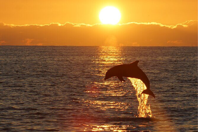 3hours all inclusive Sunset&Dolphin Tour from Medulin on Sandra - What Reviewers Say