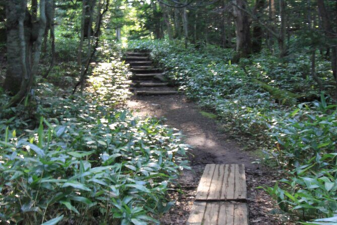 3hours Nature Guided Tour in Shiretoko Five Lakes - Exploring the 3-Hour Nature Guided Tour in Shiretoko Five Lakes