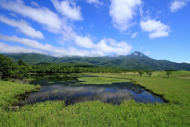 3hours Nature Guided Tour in Shiretoko Five Lakes - Why This Tour Is Worth It
