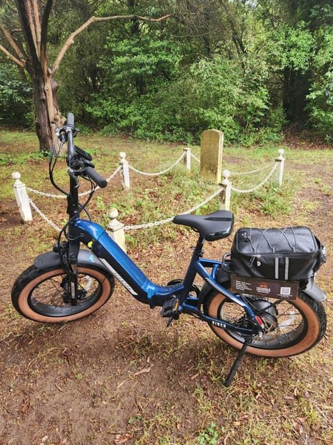 3hr Guided E-Bike Tour: Tacos, Taps, Local Facts - Overall Value and Suitability