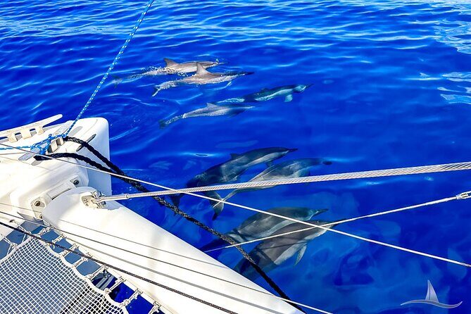 3hr Luxury Private Sailing Catamaran in Waikiki for 1 to 6 People - Final Thoughts