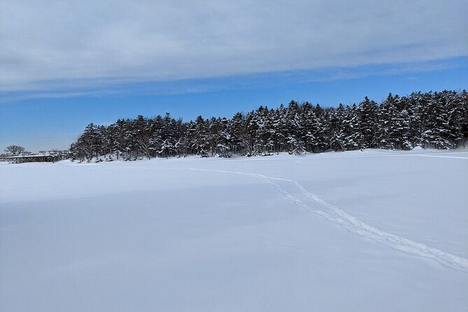 4.5 hours Snowshoe hike in Shiretoko five lakes - Who Should Consider This Tour?