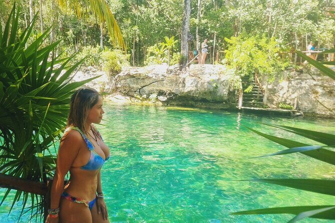 4 Casa Tortugas Cenotes Tour from Playa del Carmen - The Detailed Breakdown of the Tour