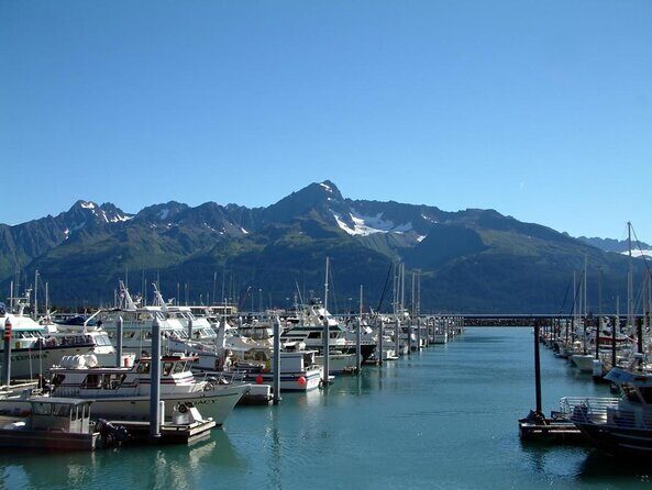 4 day Alaska Seward Camping Adventure from Anchorage - Key Points