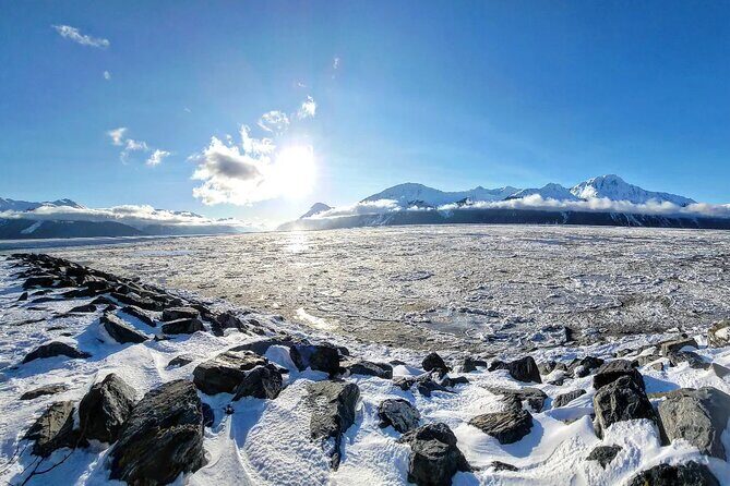 4 day Alaska Seward Camping Adventure from Anchorage - The Full Experience: A Deep Dive