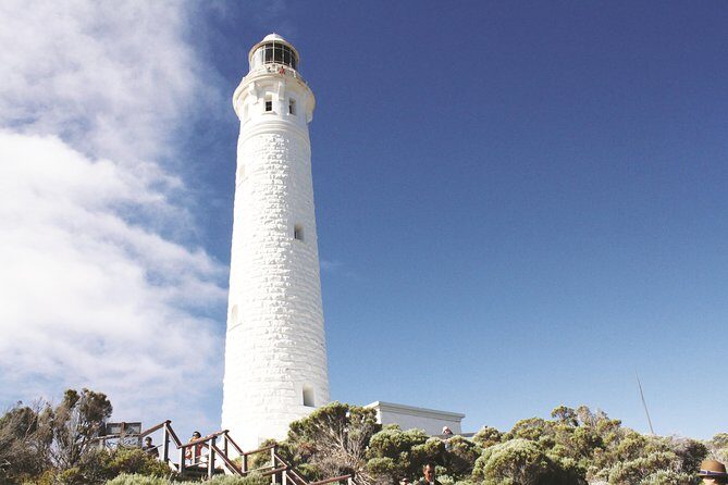 4 Day Albany Margaret River, Valley of the Giants Tour from Perth - Is This Tour Right for You?