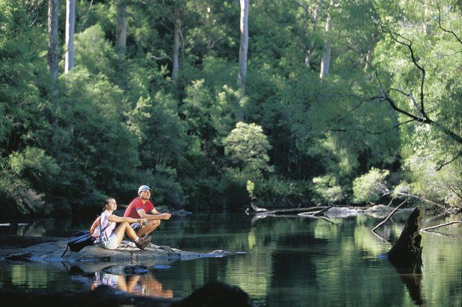 4 Day Albany Margaret River, Valley of the Giants Tour from Perth - Final Thoughts