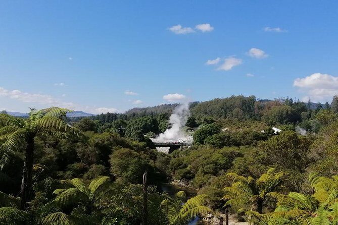 4-Day Auckland to Wellington via Rotorua Tour - A Detailed Look at the Itinerary