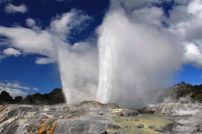 4-Day Auckland to Wellington via Rotorua Tour - FAQ