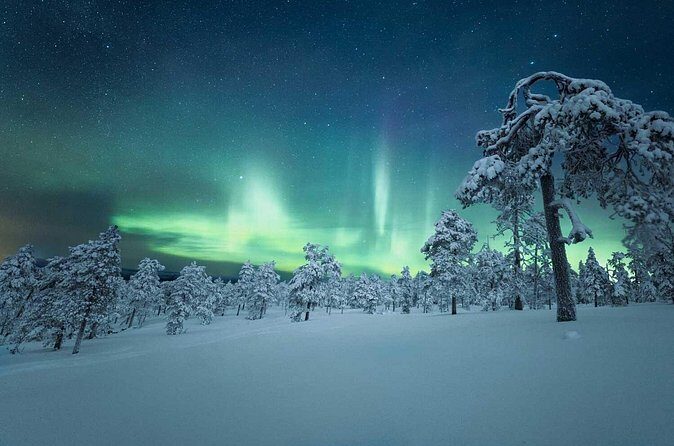 4-Day Aurora Viewing Tour from Whitehorse, Canada - Frequently Asked Questions (FAQs)