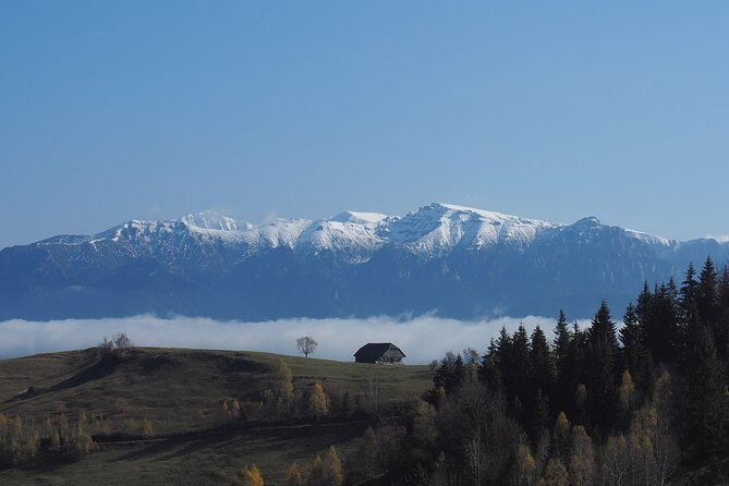 4-Day Carpathian Trek: Bucegi Mountains and Piatra Craiului National Park - An In-Depth Look at the 4-Day Carpathian Trek