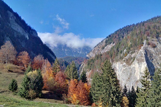 4-Day Carpathian Trek: Bucegi Mountains and Piatra Craiului National Park - FAQs