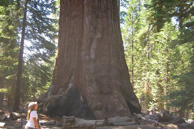 4 Day Death Valley, Yosemite, San Francisco from Las Vegas Camp or Lodge - FAQs