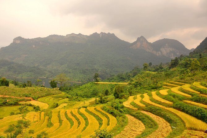 4-Day Jungle Trekking in Ba Be National Park - Deep Dive into the 4-Day Ba Be Adventure