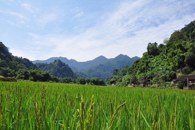 4-Day Jungle Trekking in Ba Be National Park - FAQ