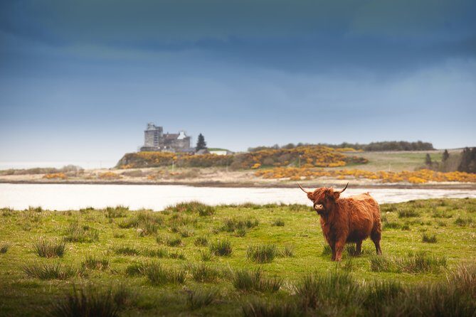 4-Day Magical Mull, Iona & West Highlands Small-Group Tour from Edinburgh - In The Sum Up