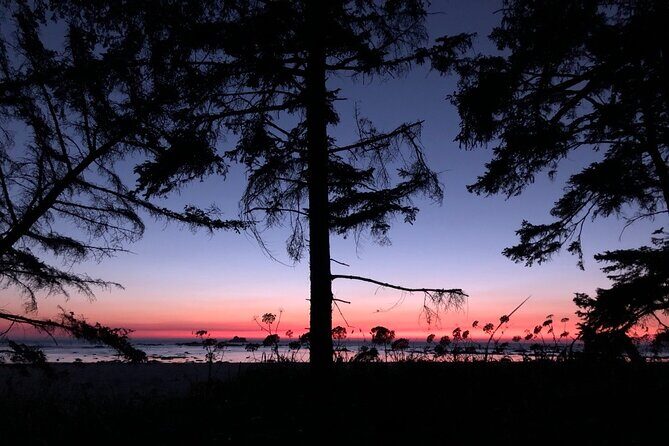 4-Day Olympic Backpacking Tour in North Coast - The Practicalities and Price
