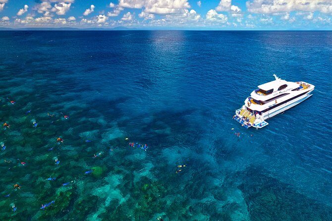 4-Day PADI Open Water Dive Course - Learn to Dive on the Great Barrier Reef - Real Experiences and Testimonials