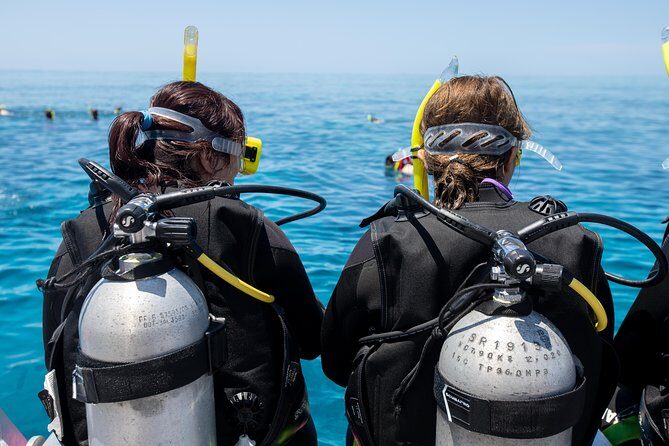 4-Day PADI Open Water Dive Course - Learn to Dive on the Great Barrier Reef - The Sum Up